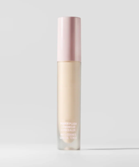 Power Plush Longwear Concealer