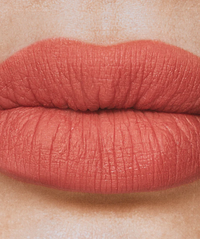 Plumping Powder Matte Lip